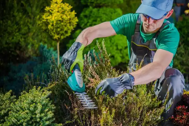 landscaping services Chicopee